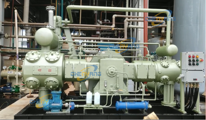 安徽德隆泰氯化氫D型壓縮機正面